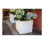 Pot EDA Blanc Plastique 5 cm: Plus de 300.000 produits de grandes marques en vente directe à prix usine sur cadeaufou.com. Label
