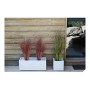 Pot EDA Blanc Plastique 5 cm: Plus de 300.000 produits de grandes marques en vente directe à prix usine sur cadeaufou.com. Label