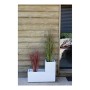 Pot EDA Blanc Plastique 5 cm: Plus de 300.000 produits de grandes marques en vente directe à prix usine sur cadeaufou.com. Label