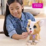 Jouet Peluche Furreal Friends My Pooping Buddy Marron: Plus de 300.000 produits de grandes marques en vente directe à prix usine
