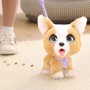 Jouet Peluche Furreal Friends My Pooping Buddy Marron: Plus de 300.000 produits de grandes marques en vente directe à prix usine