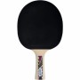 Raquette de ping-pong Schildkröt Legends 800: Plus de 300.000 produits de grandes marques en vente directe à prix usine sur cade