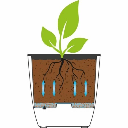 Pot EDA 43,5 x 43,5 x 44,5 cm Noir Plastique Carré Moderne: Plus de 300.000 produits de grandes marques en vente directe à prix 