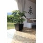 Pot EDA 43,5 x 43,5 x 44,5 cm Noir Plastique Carré Moderne: Plus de 300.000 produits de grandes marques en vente directe à prix 