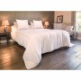 Remplissage de couette Blanreve 3245841494312 200 x 200 cm 300 g/m²: Plus de 300.000 produits de grandes marques en vente direct