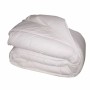 Remplissage de couette Blanreve Blanc Anti-acariens 420 g/m² 200 x 200 cm: Plus de 300.000 produits de grandes marques en vente 