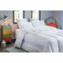 Remplissage de couette Blanreve Blanc Anti-acariens 420 g/m² 200 x 200 cm: Plus de 300.000 produits de grandes marques en vente 