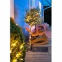 Guirlande lumineuse LED Galix G4430 16,4 m: Plus de 300.000 produits de grandes marques en vente directe à prix usine sur cadeau
