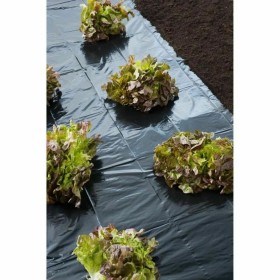 Filet contre les mauvaises herbes Nature: Plus de 300.000 produits de grandes marques en vente directe à prix usine sur cadeaufo