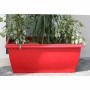 Pot Riviera Rouge Plastique Rectangulaire 80 x 40 cm 80 x 40 x 32 cm: Plus de 300.000 produits de grandes marques en vente direc