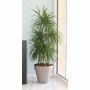 Pot Riviera Marron Taupe polypropylène Plastique Rond Ballon Ø 50 cm: Plus de 300.000 produits de grandes marques en vente direc