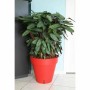 Pot Riviera Rouge polypropylène Plastique Rond Ballon Ø 50 cm: Plus de 300.000 produits de grandes marques en vente directe à pr