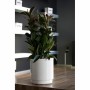 Pot Plastiken Blanc Plastique Carré Ø 38 cm: Plus de 300.000 produits de grandes marques en vente directe à prix usine sur cadea
