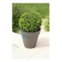 Pot Riviera 414076 Rond Gris Plastique: Plus de 300.000 produits de grandes marques en vente directe à prix usine sur cadeaufou.