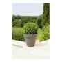 Pot Riviera 414076 Rond Gris Plastique: Plus de 300.000 produits de grandes marques en vente directe à prix usine sur cadeaufou.