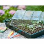 Set de culture Nature 11 x 35 x 23,5 cm: Plus de 300.000 produits de grandes marques en vente directe à prix usine sur cadeaufou