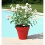 Pot Riviera Soleilla 60 x 54 cm Rouge Intense Rond Ronde Ø 60 x 53,6 cm: Plus de 300.000 produits de grandes marques en vente di