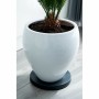 Support à roulettes pour pots de fleurs Nature Noir polypropylène (Ø 29,2 x 4 cm): Plus de 300.000 produits de grandes marques e