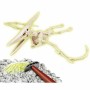 Jeu scientifique Clementoni Archéo Ludic Pteranodon Fluorescent: Plus de 300.000 produits de grandes marques en vente directe à