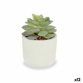 Plante décorative Ibergarden QY-H037 Plastique Succulent 14 x 13,5 x 14 cm (12 Unités): Plus de 300.000 produits de grandes marq