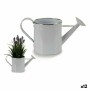 Arrosoir décoratif Ibergarden I60472-D Blanc Argenté 2 L 15,7 x 18 x 35,5 cm Métal (12 Unités): Plus de 300.000 produits de gran