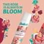 Shampooing sec Batiste Rose Gold 350 ml: Plus de 300.000 produits de grandes marques en vente directe à prix usine sur cadeaufou