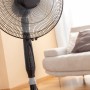 Ventilateur sur Pied avec Télécommande InnovaGoods Airstreem Noir 45 W: Plus de 300.000 produits de grandes marques en vente dir