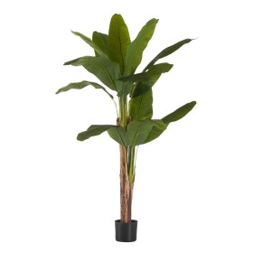 Plante décorative Ibergarden BRS-ADI168 Plastique Câble de fer Bananière 80 x 150 x 80 cm: Plus de 300.000 produits de grandes m