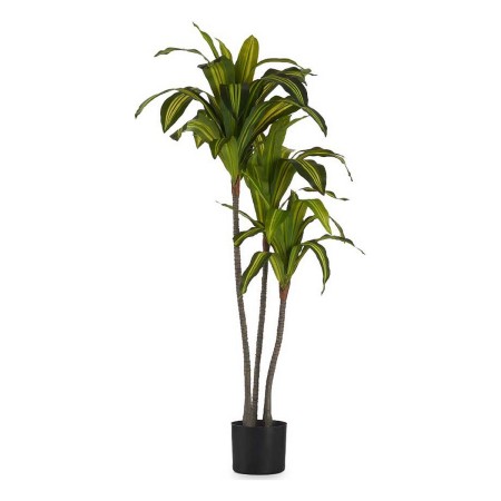 Plante décorative Ibergarden BRS-ADK105 Plastique Lame large 70 x 120 x 70 cm: Plus de 300.000 produits de grandes marques en ve
