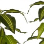 Plante décorative Ibergarden BRS-ADK105 Plastique Lame large 70 x 120 x 70 cm: Plus de 300.000 produits de grandes marques en ve
