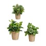 Set de pots Ibergarden LINCE PQ - TOPO Beige Argile (6 Unités): Plus de 300.000 produits de grandes marques en vente directe à p