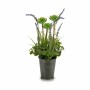 Plante décorative Ibergarden XD16-818 Métal Plastique Lavande 13 x 40 x 13 cm (12 Unités): Plus de 300.000 produits de grandes m