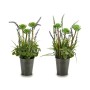 Plante décorative Ibergarden XD16-818 Métal Plastique Lavande 13 x 40 x 13 cm (12 Unités): Plus de 300.000 produits de grandes m