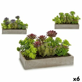 Plante décorative Ibergarden XD18-1220 Plastique Ciment Succulent 16,5 x 20 x 28,5 cm (6 Unités): Plus de 300.000 produits de gr
