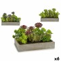 Plante décorative Ibergarden XD18-1220 Plastique Ciment Succulent 16,5 x 20 x 28,5 cm (6 Unités): Plus de 300.000 produits de gr