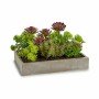 Plante décorative Ibergarden XD18-1220 Plastique Ciment Succulent 16,5 x 20 x 28,5 cm (6 Unités): Plus de 300.000 produits de gr