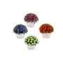 Fleur décorative Ibergarden A16120-0118 Lila Branche 14 x 12 x 14 cm (12 Unités): Plus de 300.000 produits de grandes marques en