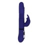 Vibrateur G-Spot Gender X Violet: Plus de 300.000 produits de grandes marques en vente directe à prix usine sur cadeaufou.com. L
