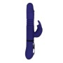 Vibrateur G-Spot Gender X Violet: Plus de 300.000 produits de grandes marques en vente directe à prix usine sur cadeaufou.com. L