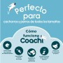 Fourre-tout Coachi Train & Treat Bleu: Plus de 300.000 produits de grandes marques en vente directe à prix usine sur cadeaufou.c