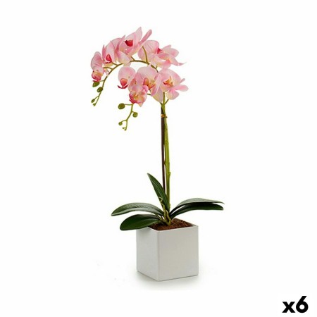 Plante décorative Ibergarden A18124-50-2WH Plastique Orchidée 18 x 47 x 14 cm (6 Unités): Plus de 300.000 produits de grandes ma
