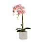 Plante décorative Ibergarden A18124-50-2WH Plastique Orchidée 18 x 47 x 14 cm (6 Unités): Plus de 300.000 produits de grandes ma