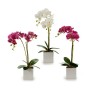 Plante décorative Ibergarden A18124-50-2WH Plastique Orchidée 18 x 47 x 14 cm (6 Unités): Plus de 300.000 produits de grandes ma