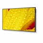 Moniteur Videowall NEC ME651 4K Ultra HD 65: Plus de 300.000 produits de grandes marques en vente directe à prix usine sur cadea