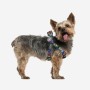 Harnais pour Chien Marvel Noir M/L: Plus de 300.000 produits de grandes marques en vente directe à prix usine sur cadeaufou.com.