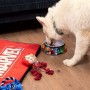 Mangeoire pour chiens Marvel Mélamine 180 ml Rouge Métal: Plus de 300.000 produits de grandes marques en vente directe à prix us