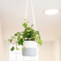 Panier décoratif Vinthera Moa Coton Gris 14 x 13 cm: Plus de 300.000 produits de grandes marques en vente directe à prix usine s