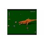 Jeu vidéo pour Switch Jurassic Park Classic Games Collection (FR): Plus de 300.000 produits de grandes marques en vente directe 