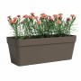 Pot Artevasi Bronze 49,9 x 20 x 18,1 cm: Plus de 300.000 produits de grandes marques en vente directe à prix usine sur cadeaufou