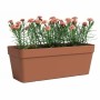 Pot Artevasi Terre cuite 49,9 x 20 x 18,1 cm: Plus de 300.000 produits de grandes marques en vente directe à prix usine sur cade